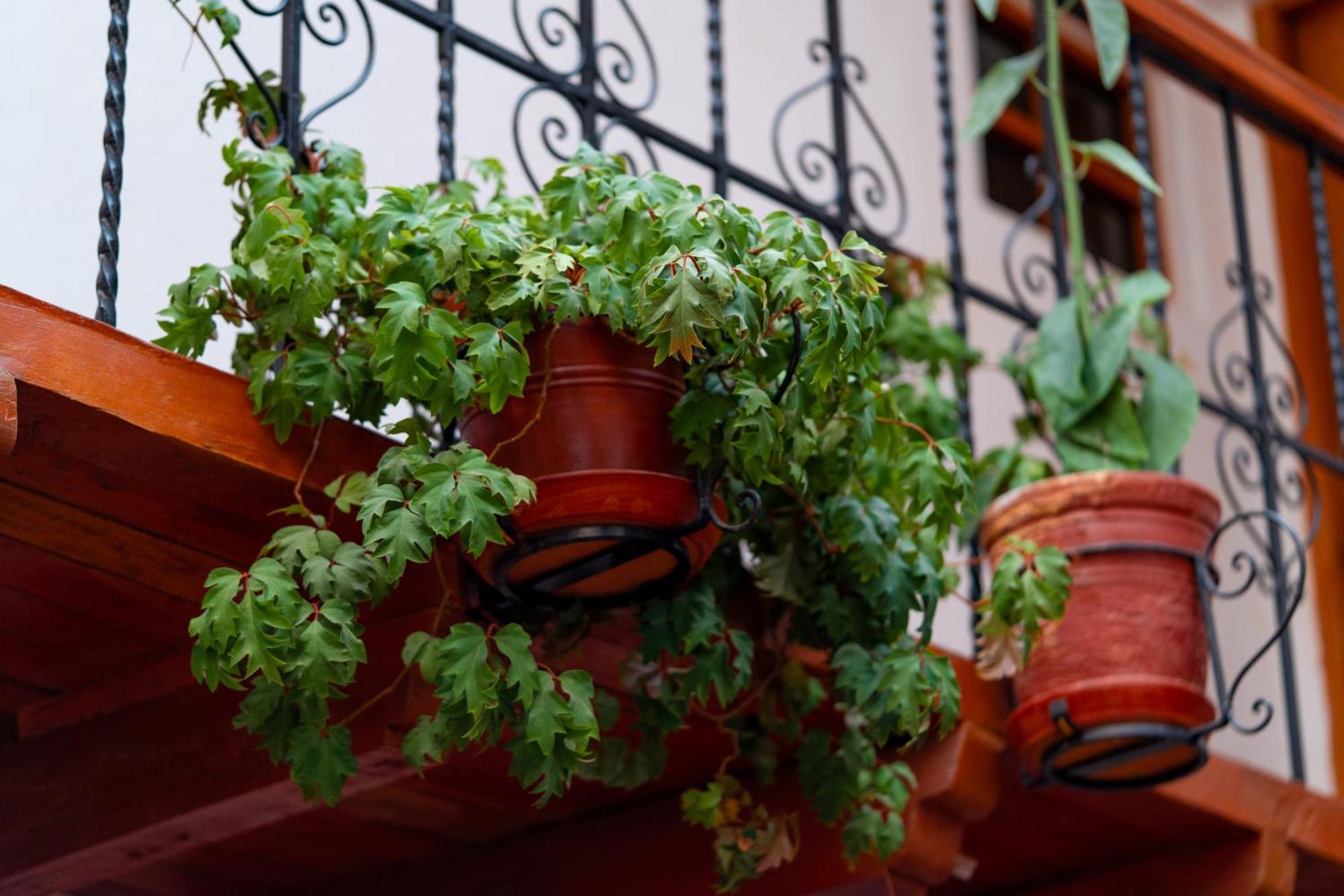 Hotel La Posada De Atahualpa Куско Екстер'єр фото